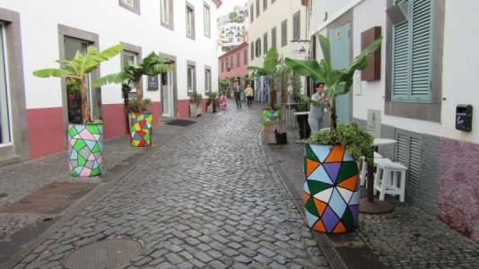 IMG_7341.JPG IMG_7341.JPG