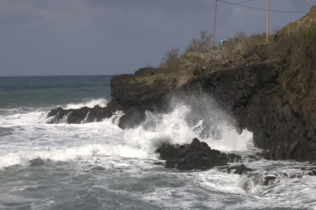 IMG_7345a.jpg IMG_7345a.jpg