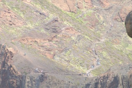 IMG_7361b.jpg IMG_7361b.jpg