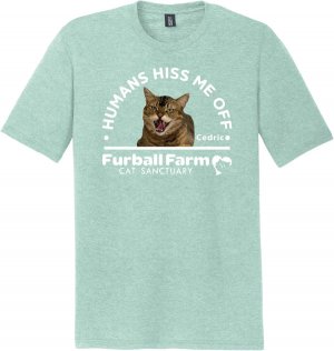 hiss.jpg