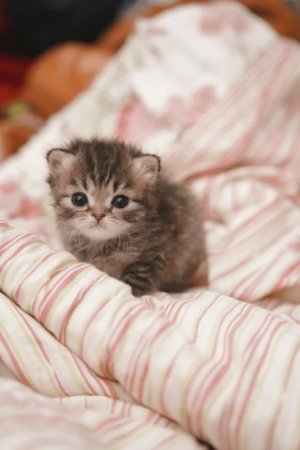 baby-3.jpg