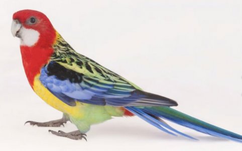 Screenshot 2024-04-03 at 4.33.51 AM.jpg