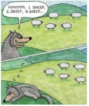 jjry.JPG