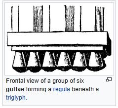Guttae.JPG
