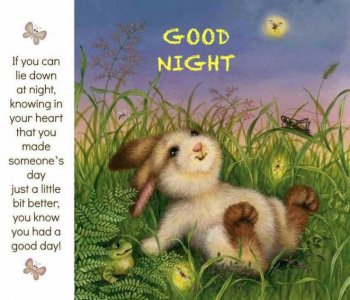 good nightnight_3533925916259604609_n.jpg