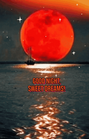 8E99411D-0861-4D2F-9E9C-264AEEBEF46B.gif