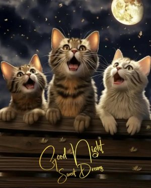 Sweet-Dreams-Guaranteed-10-Cute-Good-Night-Blessings-And-Quotes-67275-2.jpeg
