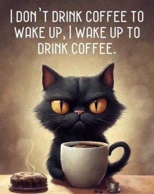 FB_IMG_1712088172336.jpg