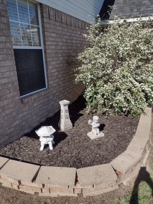 IMG_20240403_163808136_HDR.jpg