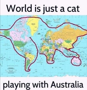 world cat.jpeg