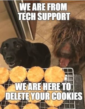 434643118_826250356209007_2535538313012001084_n.jpg