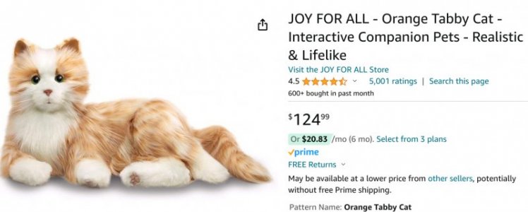 robot cat.jpg