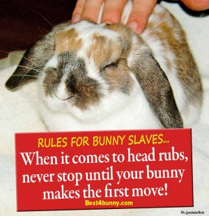 apr.jpg