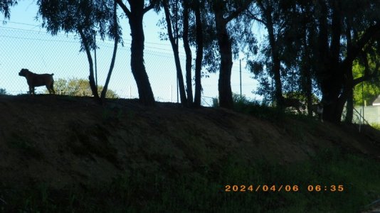 IMGP3080.JPG