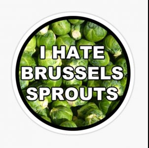 bs1.jpg