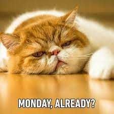 mondayalready.jpg