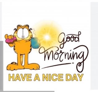 good morning day copy.jpeg