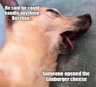 lc1.jpg