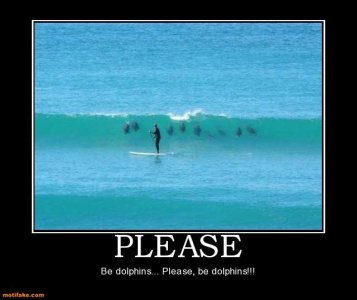 Edker--please-dolphins-please-demotivational-posters-1346625791.jpg