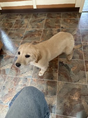 IMG_0017.jpeg IMG_0017.jpeg