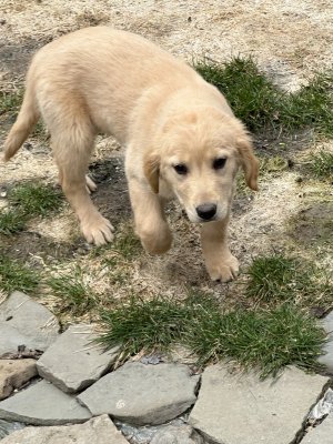 IMG_0008.jpeg IMG_0008.jpeg