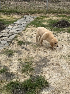 IMG_0012.jpeg IMG_0012.jpeg