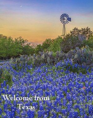 welcome-tx-bluebonnets.jpg