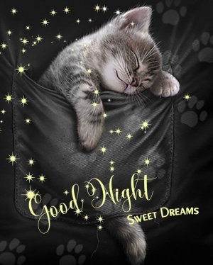 Sweet Dreams Guaranteed_ 10 Cute Good Night Blessings and Quotes.jpeg