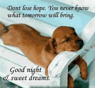 fd5375536c536cde8b078a8ee73220fb[1].jpg