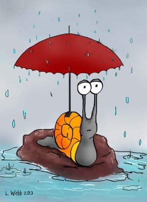 oct.jpg