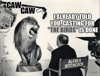 mgm1.jpg