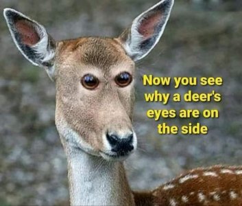 IMG_7238.jpeg