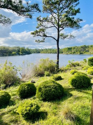 IMG_0105.jpeg IMG_0105.jpeg