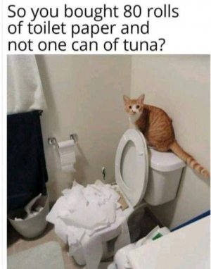 toilet joke.jpg