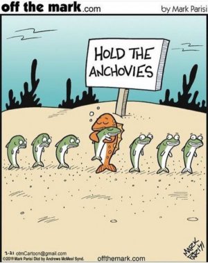 anchovies.jpg