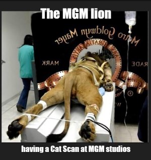 mgm2.jpg