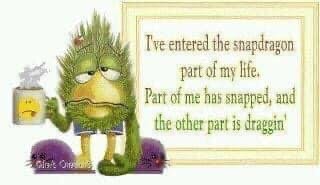 IMG_7274.jpeg