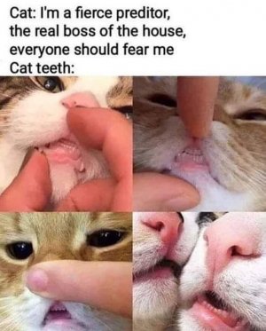 FB_IMG_1713017330579.jpg