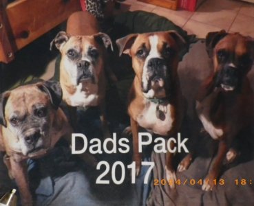 pups 2017.jpg