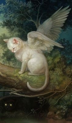 cat angel.jpg