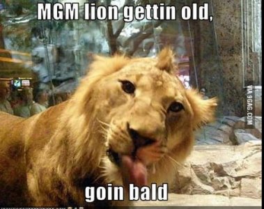 mgm5.jpg