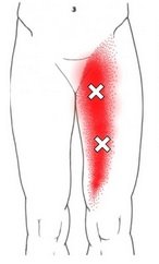 thigh.jpg