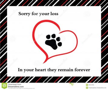 Sympathy Pet.jpg