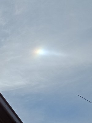 sun dog.jpg