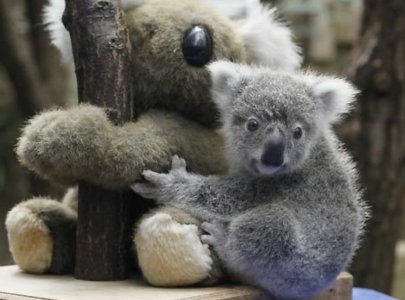 Screenshot 2024-04-21 at 6.04.27 AM.jpg