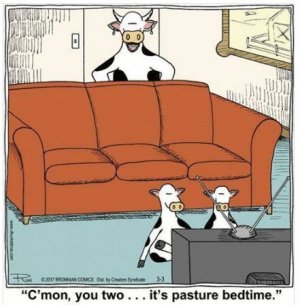bedtime.jpg