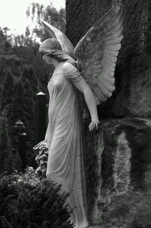 angels arturo apr 4.jpg