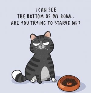 starvingme.jpg