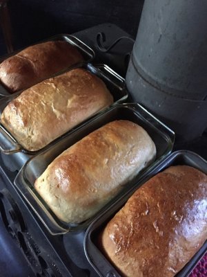 homebaked bread.jpg