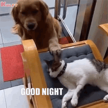 good-night-cat.gif